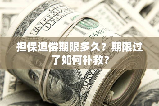 济南担保追偿期限多久？期限过了如何补救？